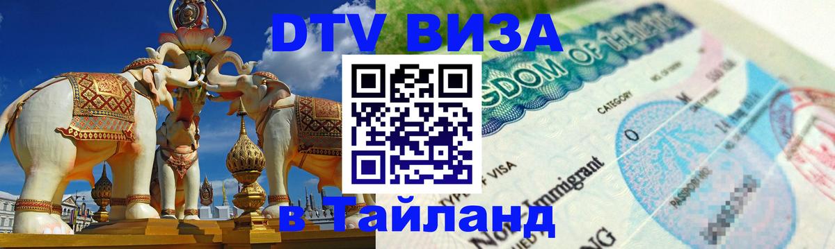 Оформление DTV визы под ключ: стоимость и тарифы, только загранпаспорт - 20.11.2025 
